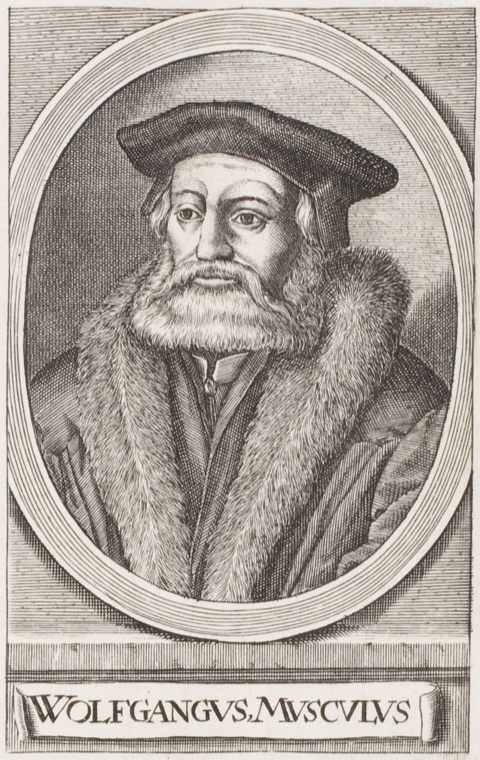 Portrait of Wolfgang Musculus